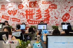 [6分钟教程]楚雄彝族自治州官网_哔哩哔哩-2